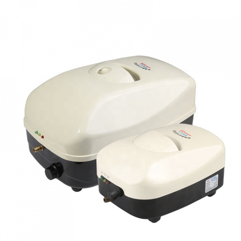 AC/DC Air Pump Aqua Global